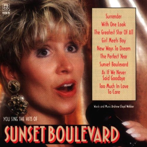 You Sing The Hits Of Sunset Boulevard Soundtracks & Musicals