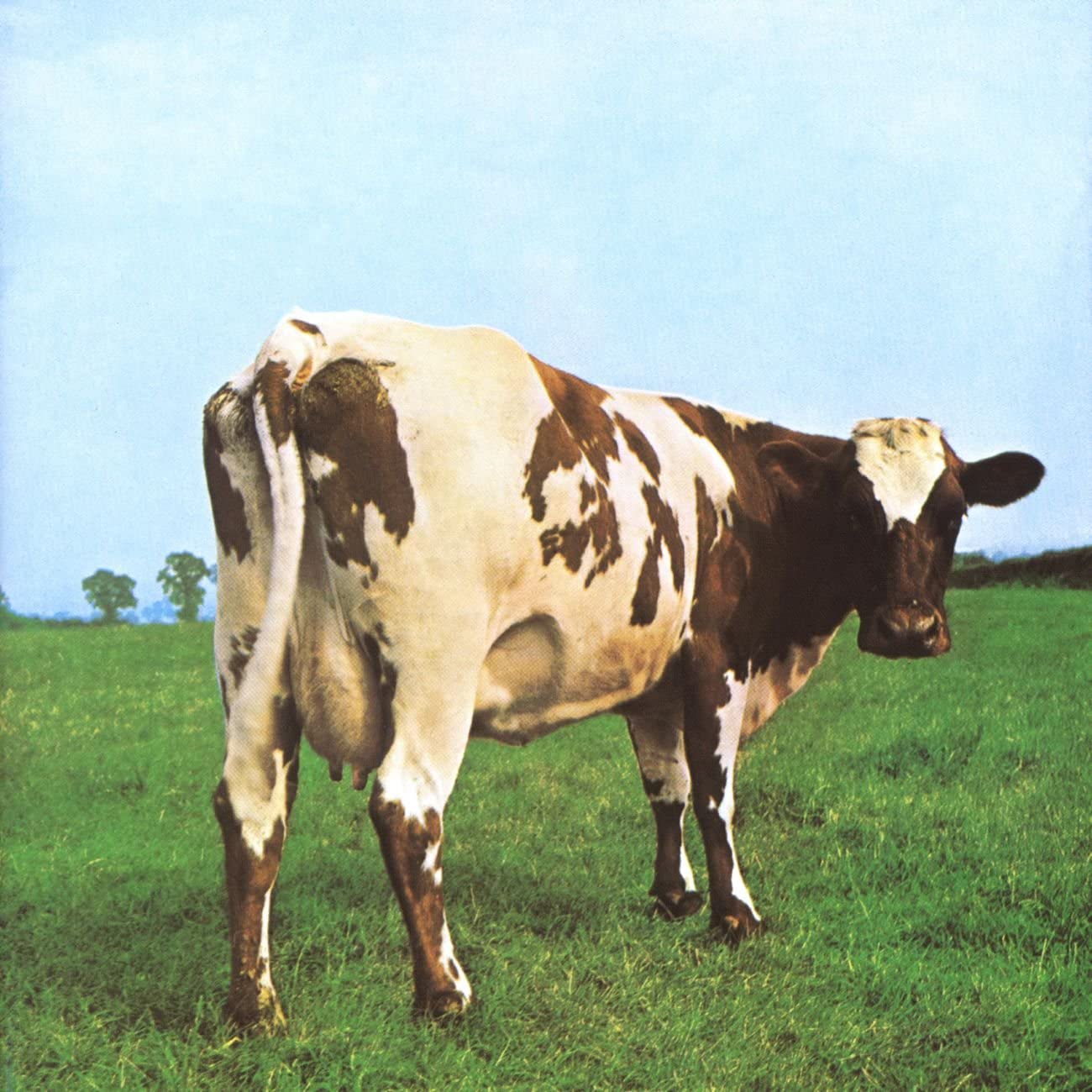 Atom Heart Mother Pop