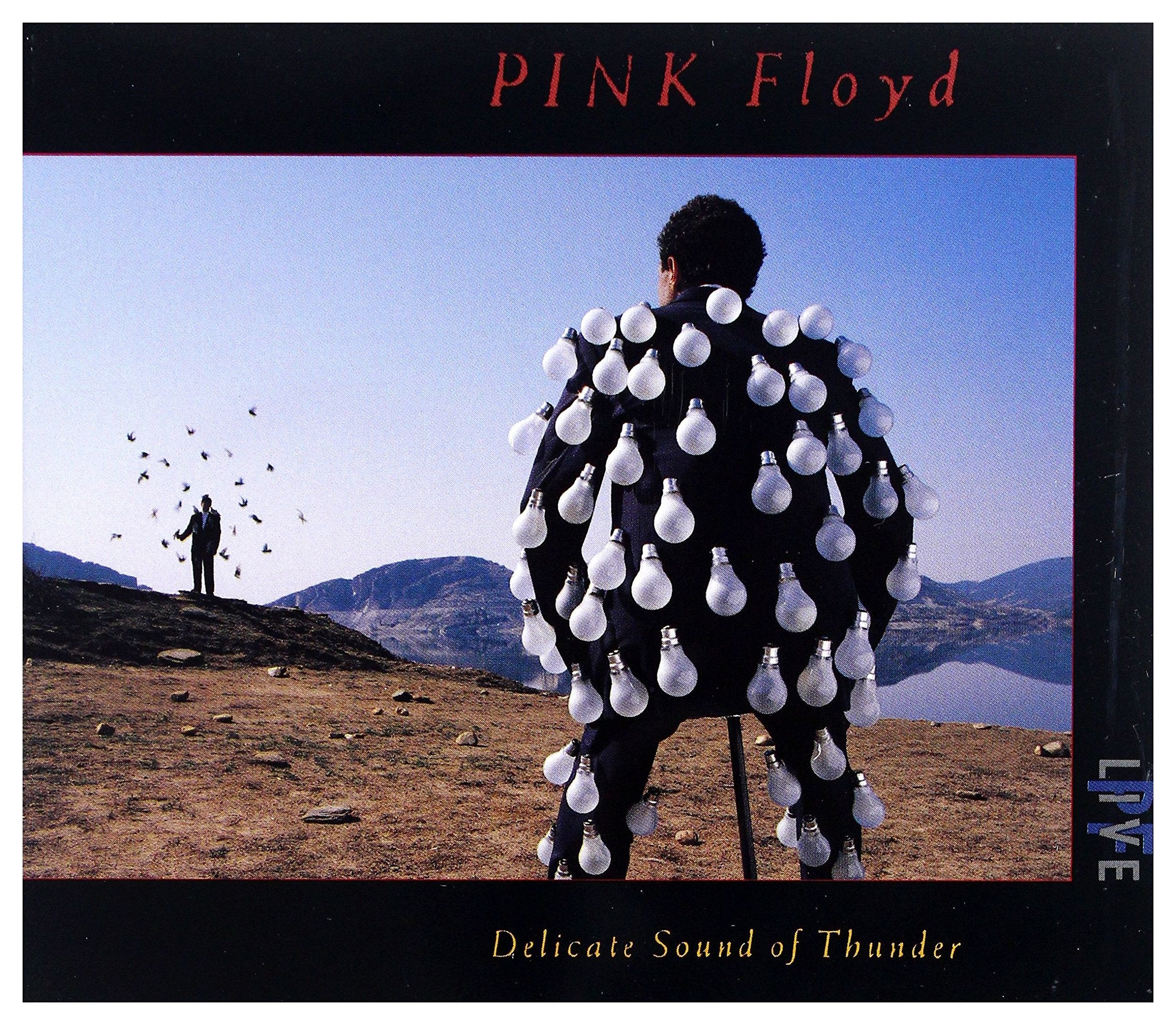 Product Image: Delicate Sound Of Thunder