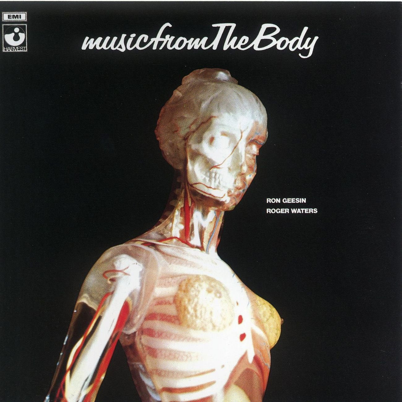 Product Image: The Body