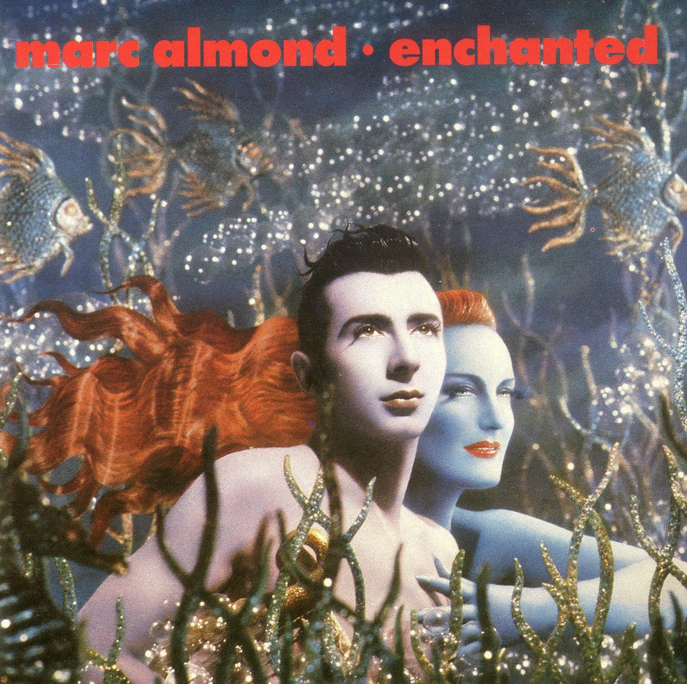 Enchanted Pop