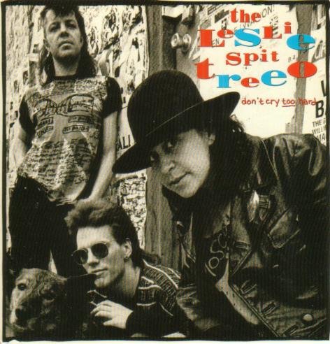 Don't Cry Too Hard (UK Import) Pop