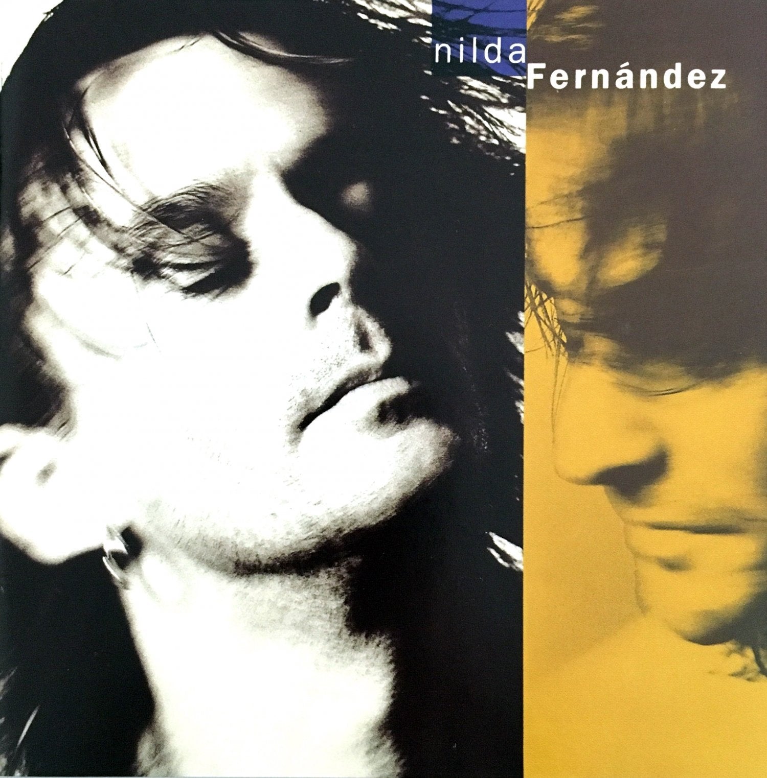 Nilda Fernandez Pop