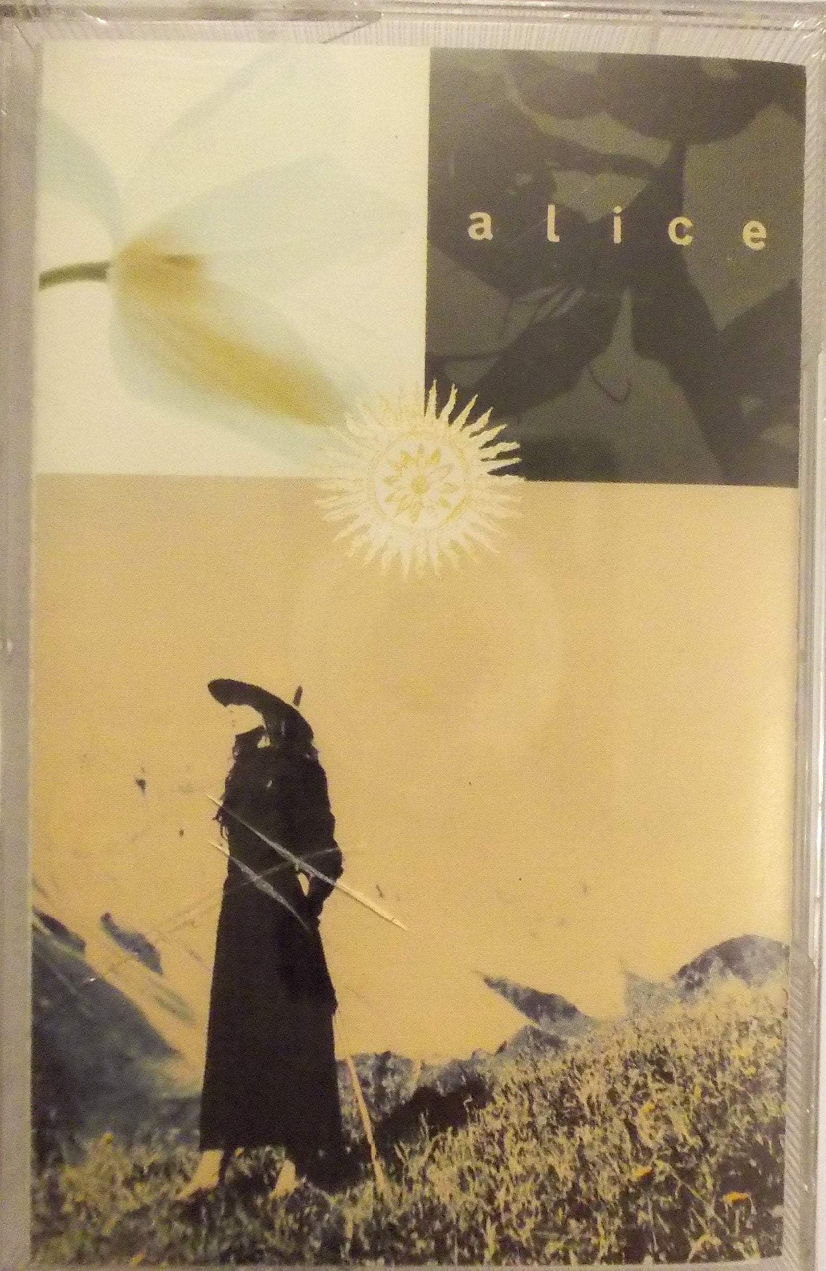 Mezzogiorno sulle Alpi (versione audio cassetta) cd