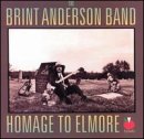 Homage to Elmore Blues