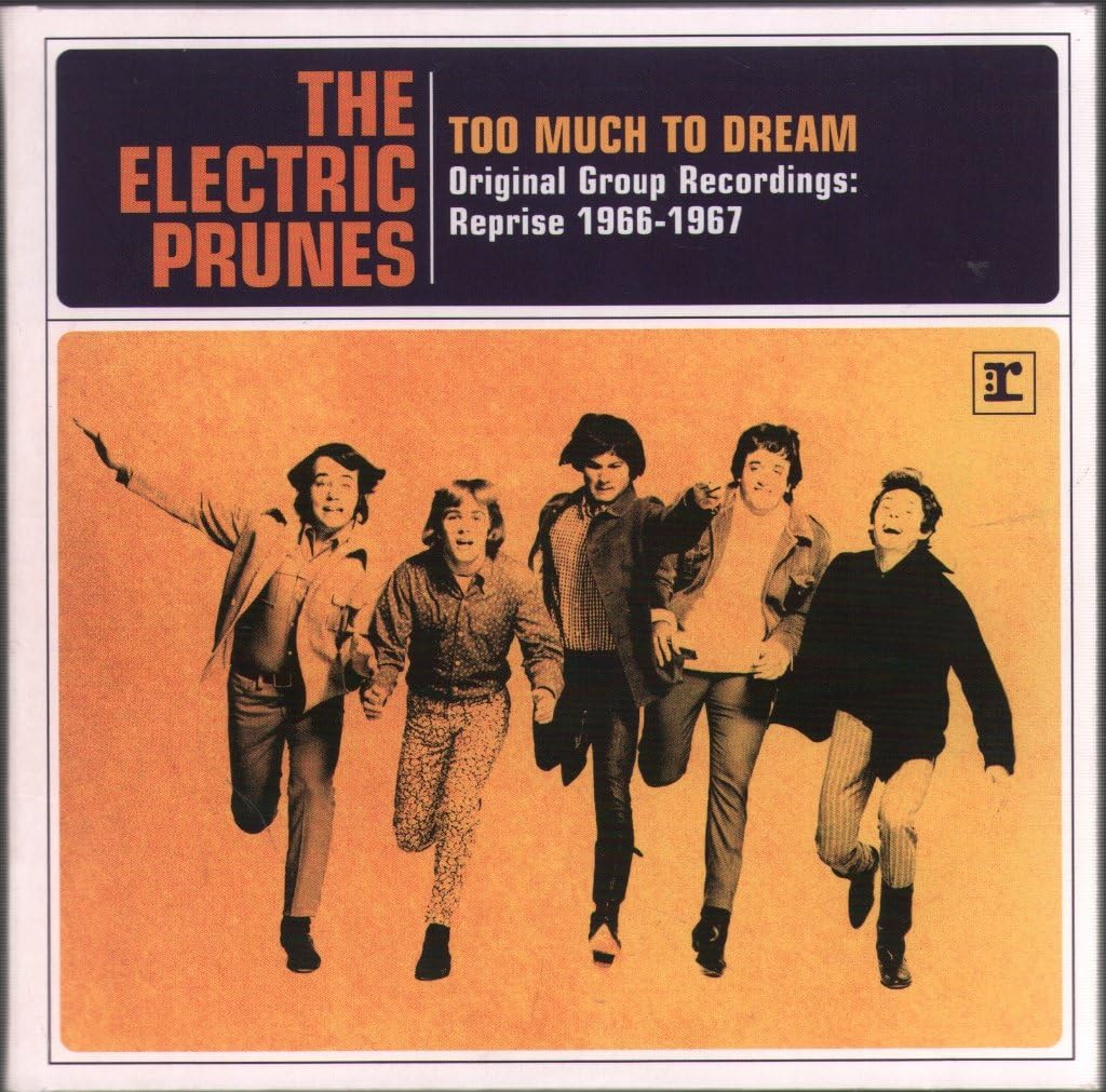 Too Much to Dream-Orig.Group Recordings 1966-1967 Rock