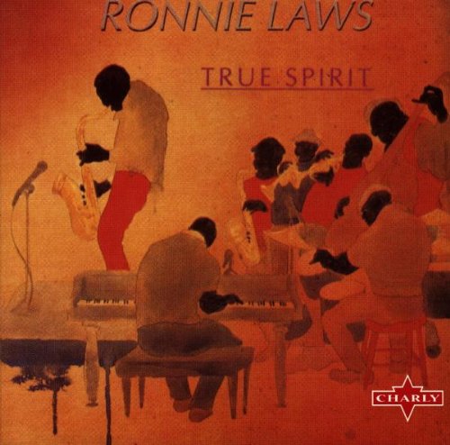 Product Image: True Spirit