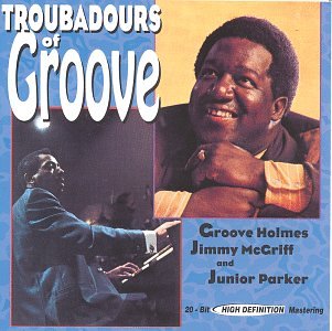 Troubadours of Groove Dance & Electronic