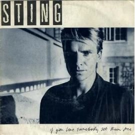 If you love somebody set them free (1985) / Vinyl single / Another day cd