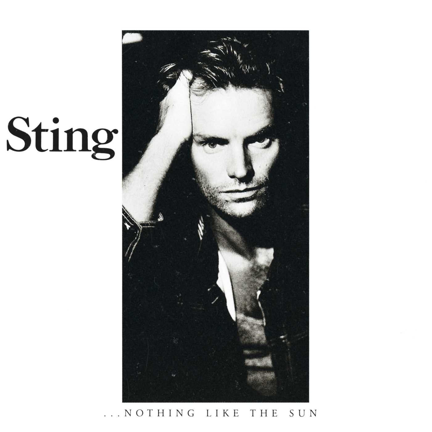 Product Image: ...Nothing Like the Sun (2lp)