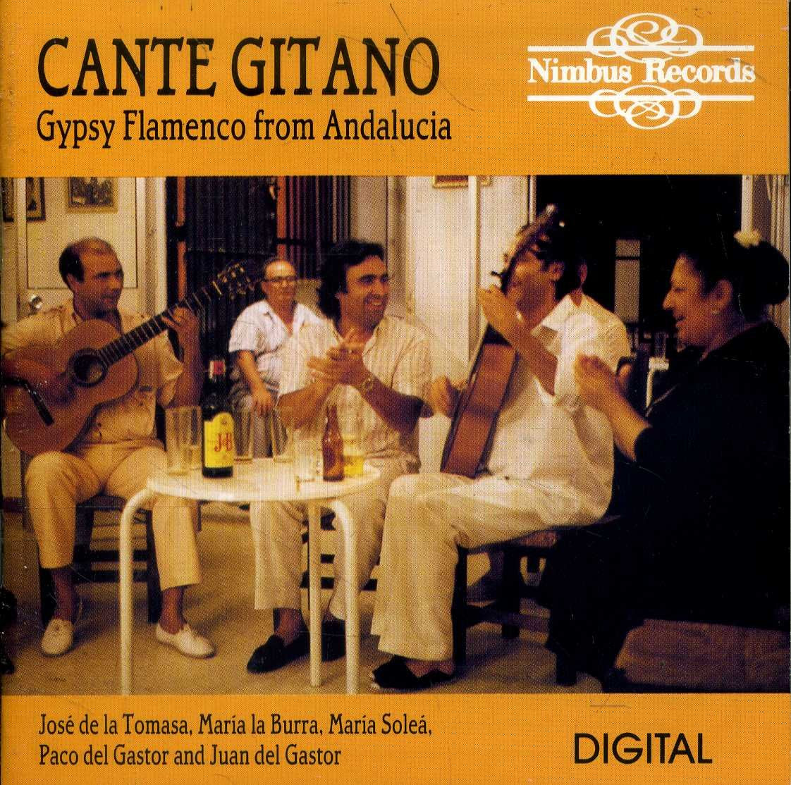 Gypsy Flamenco/Andalusien Other music genres