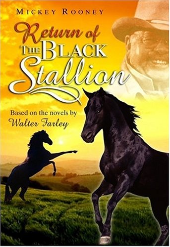 Return of the Black Stallion: Based on the Novels by Walter Farley Films