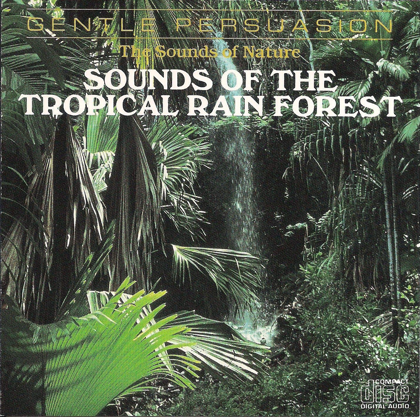 Sounds of the Tropical Rain Fo Music