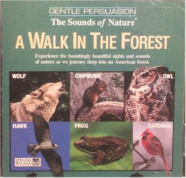 Walk in the Forest Music