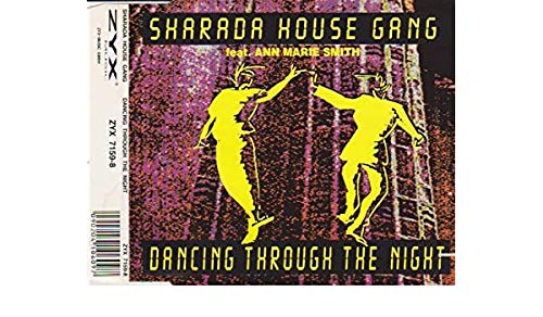 Dancing Through The Night Dance & Electronic