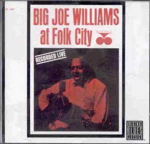 Big Joe at Folk City Blues