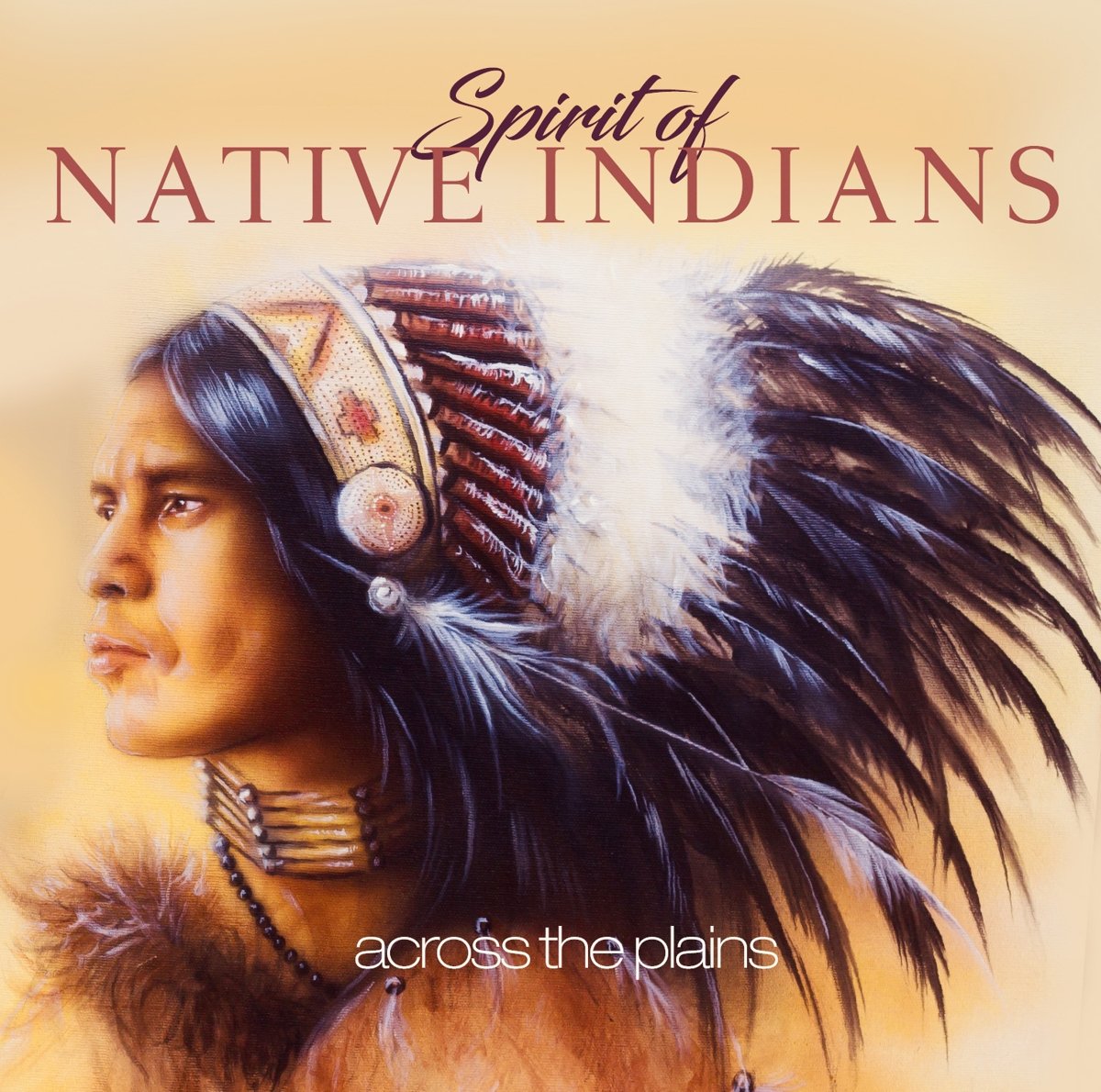 Spirit of Native Indians World Music