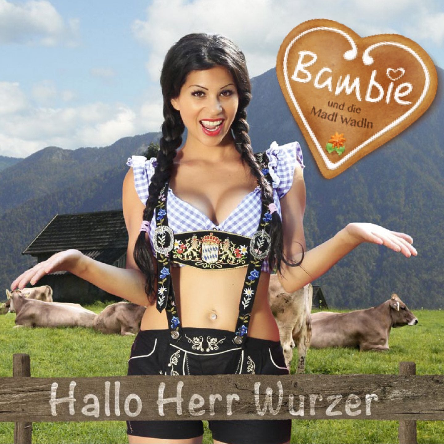 Hallo Herr Wurzer cd