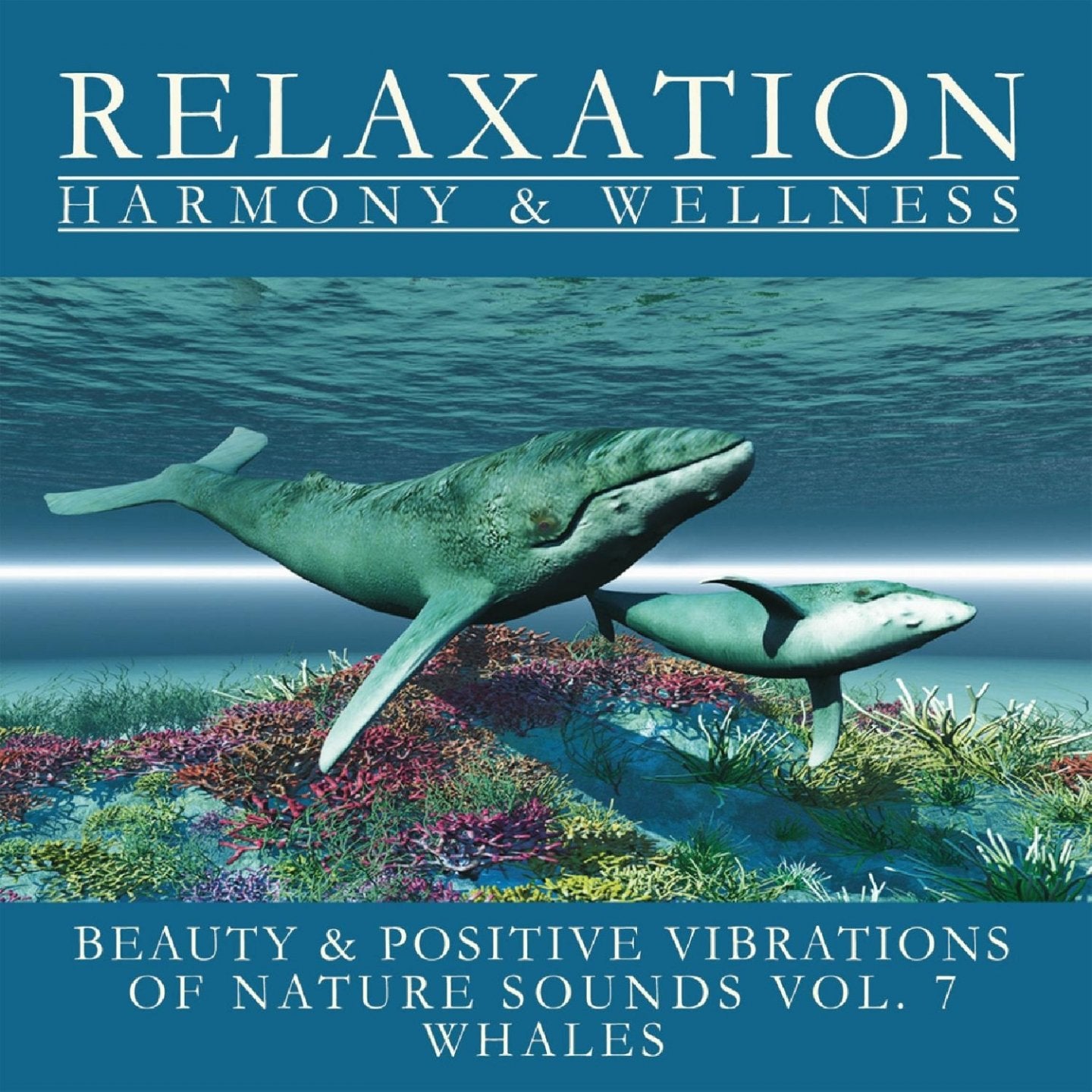Nature Sounds Vol.7-Whales Music