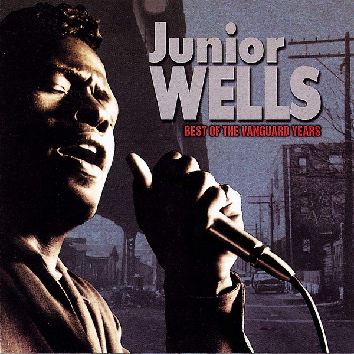 Best of the Vanguard Years Blues
