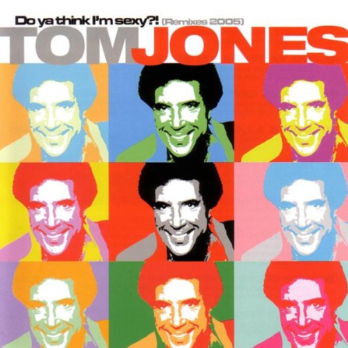 Do Ya Think I'm Sexy?! Remixes 2005 Pop