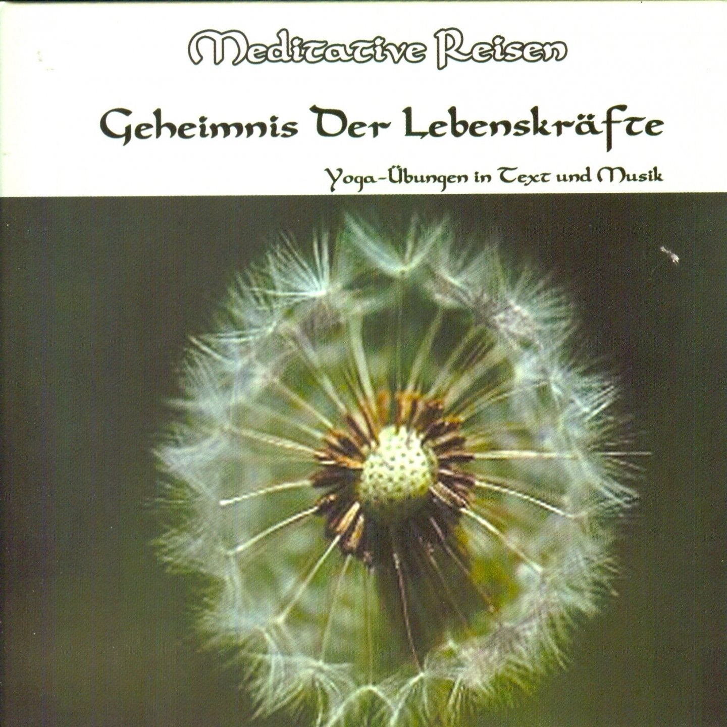 Meditative Reisen-Geheimnis der Lebenskräfte Music
