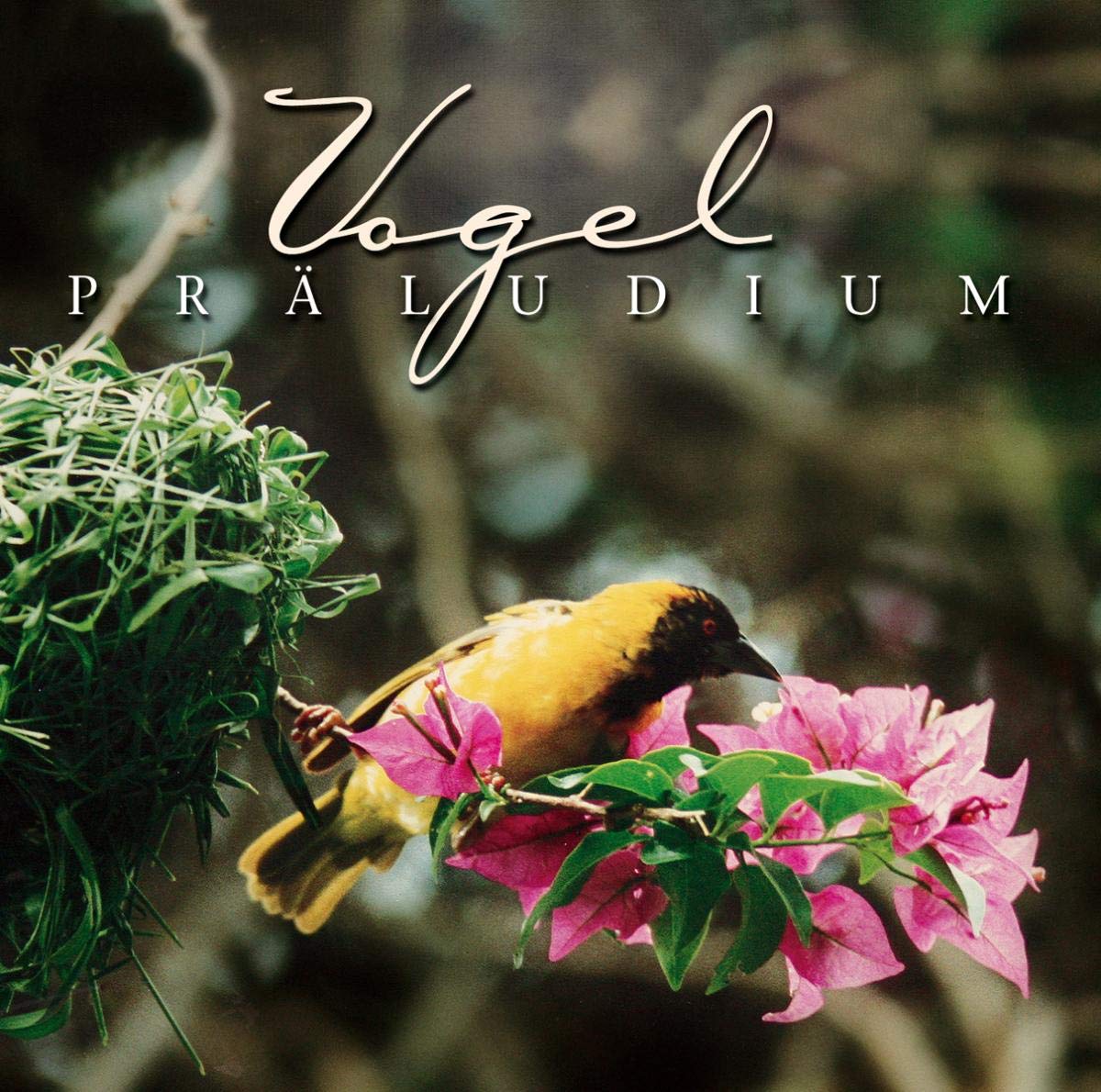 Product Image: Vogel Präludium