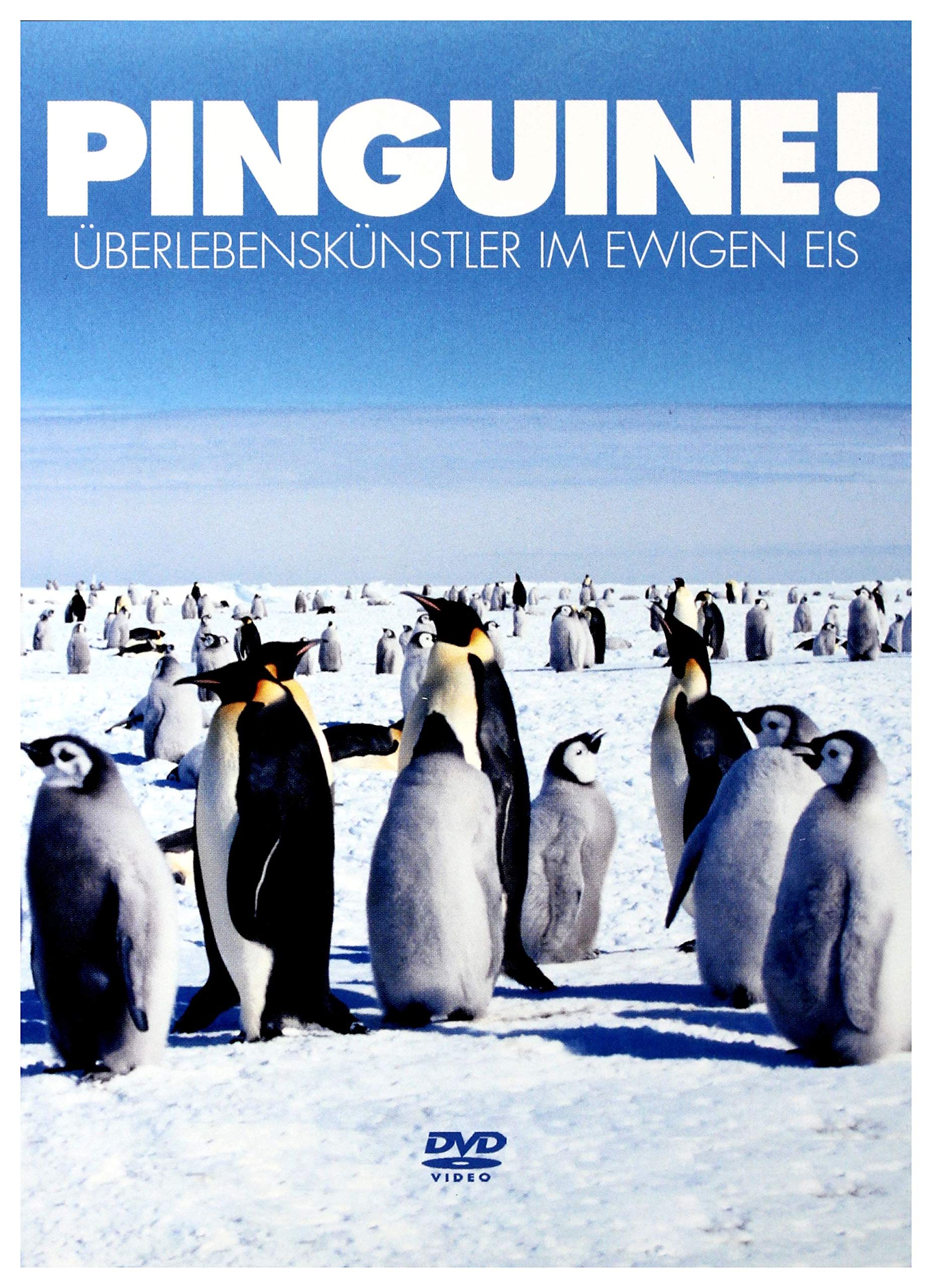 Pinguine - Überlebenskünstler im ewigen Eis Films