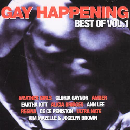 Best Of Gay Happening Vol.1 Dance & Electronic