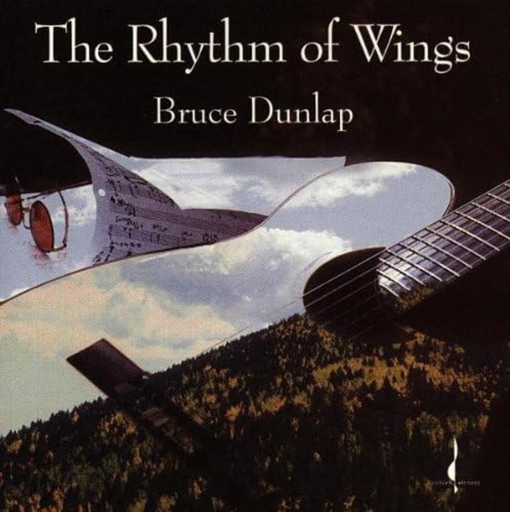 Product Image: The Rhythm of Wings