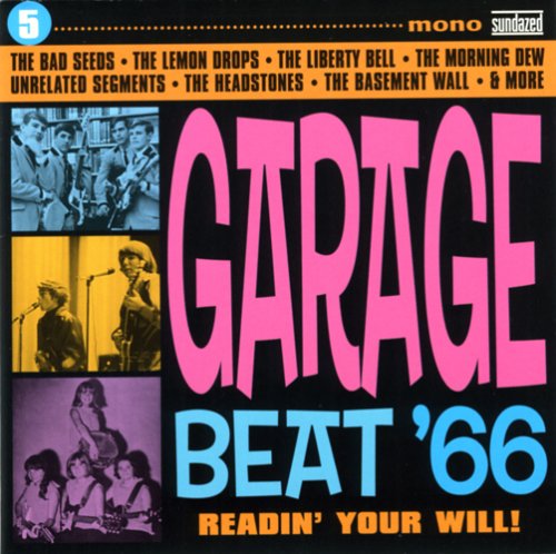 Garage Beat '66 Vol.5-Readin' Your Will Alternative & Indie