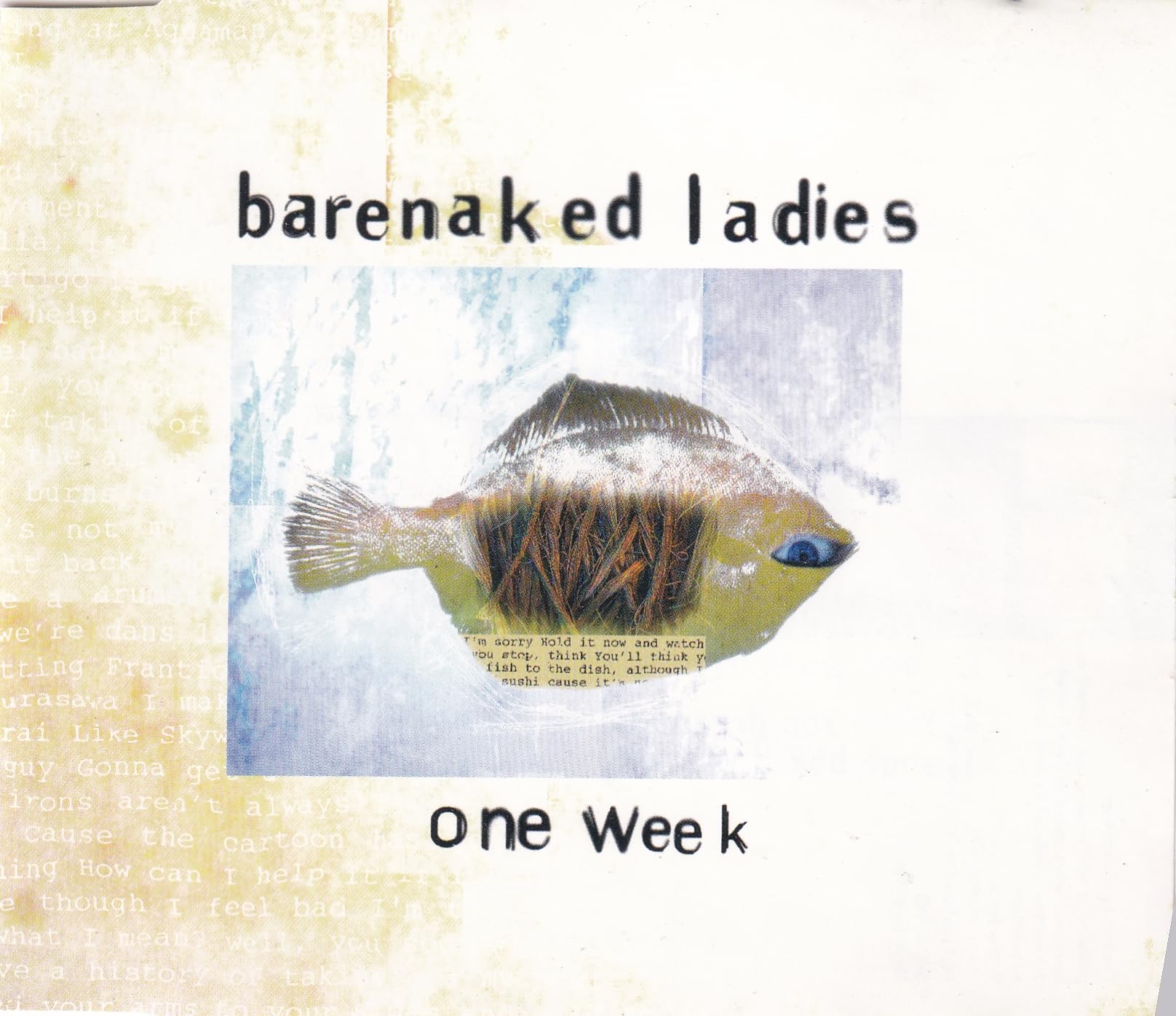 One Week/Shoebox Alternative & Indie