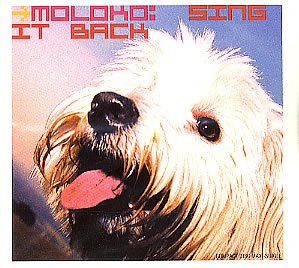 Sing It Back Alternative & Indie
