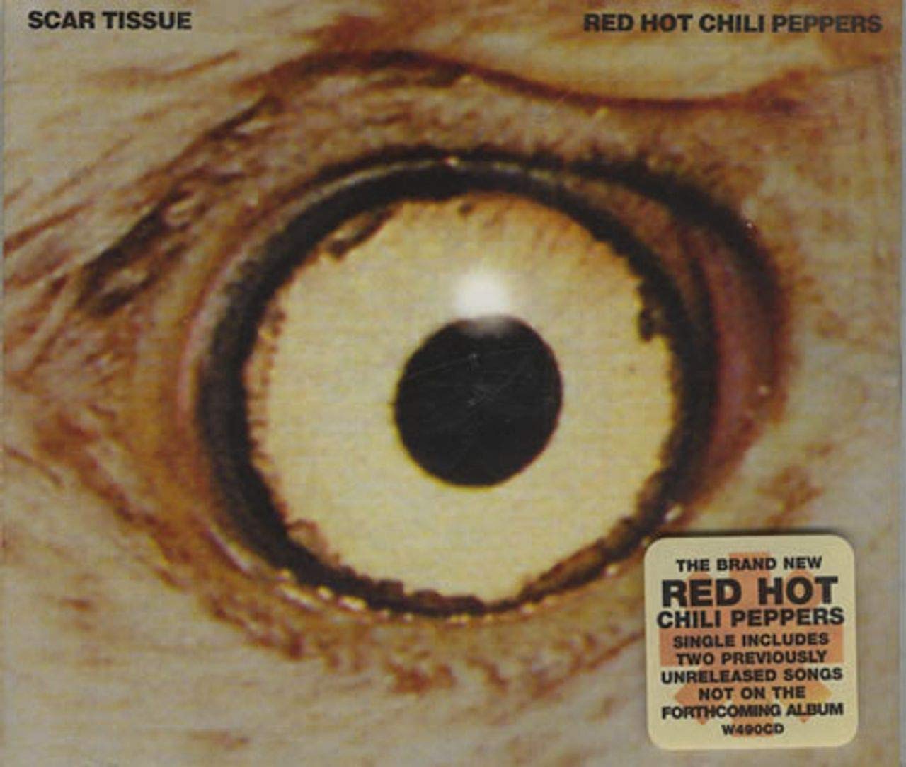 Scar Tissue/Gong Li/Instrument Alternative & Indie