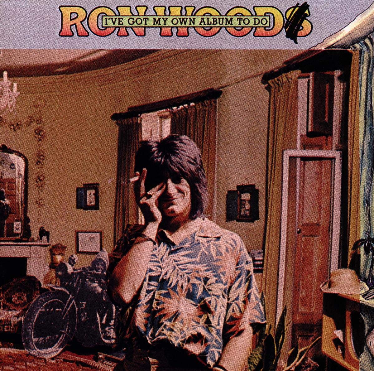 I've Got My Own Album Rock