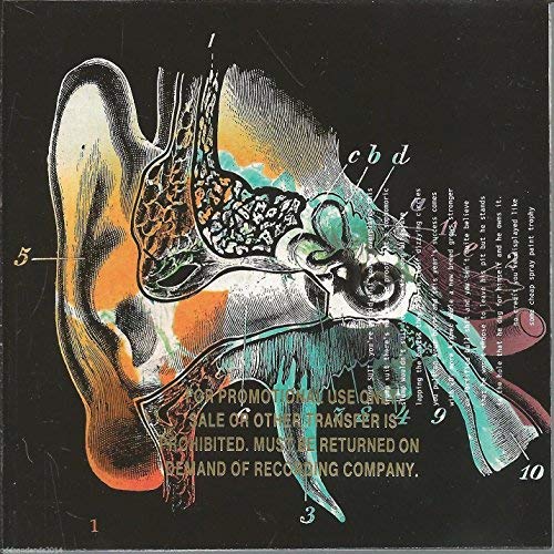 Listening Cap Alternative & Indie