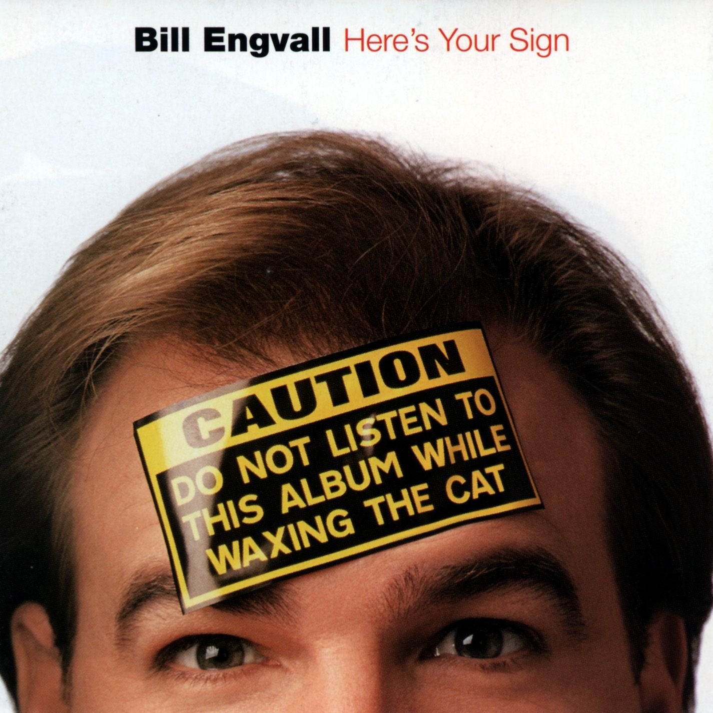 Product Image: Here S Your Sign