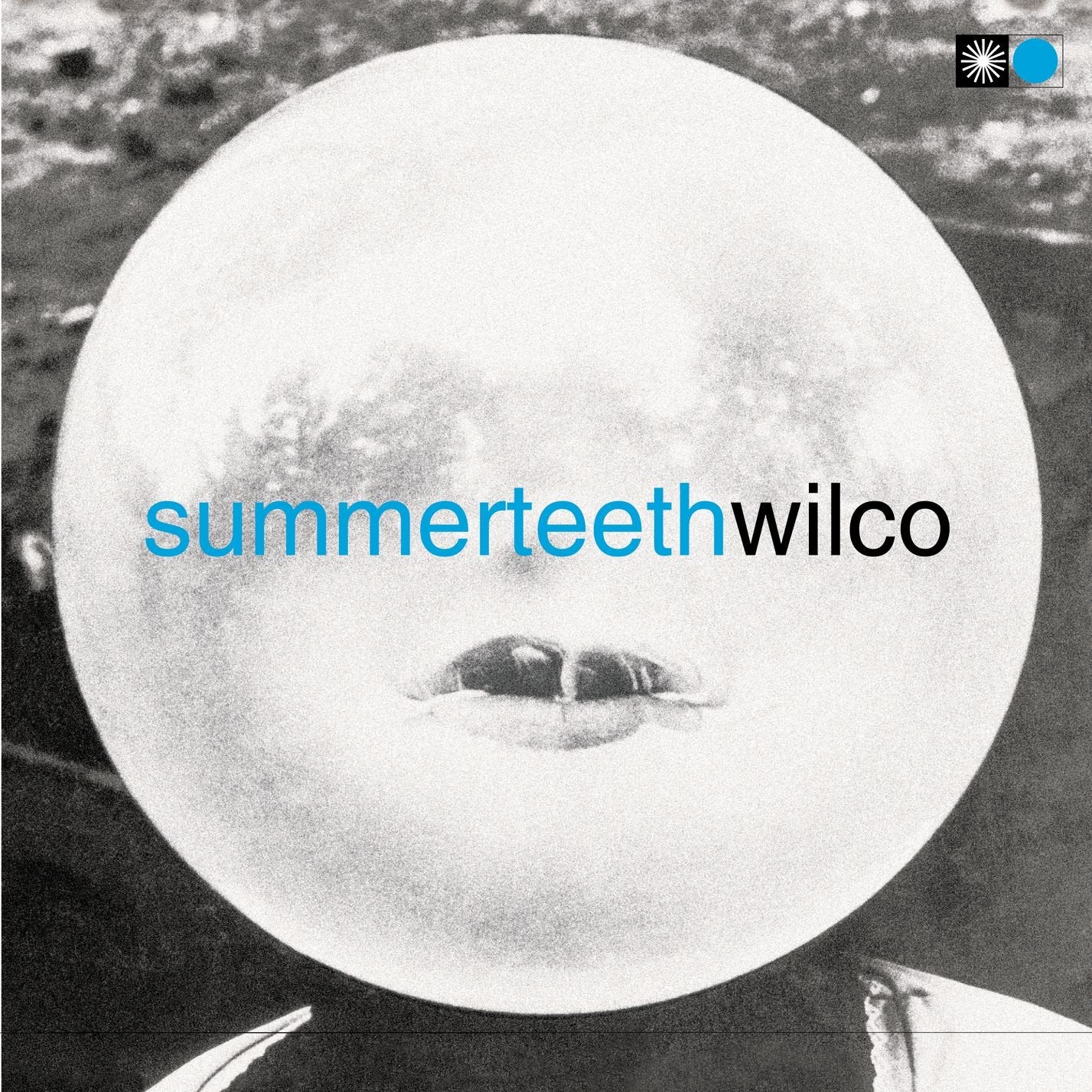 Summerteeth Alternative & Indie