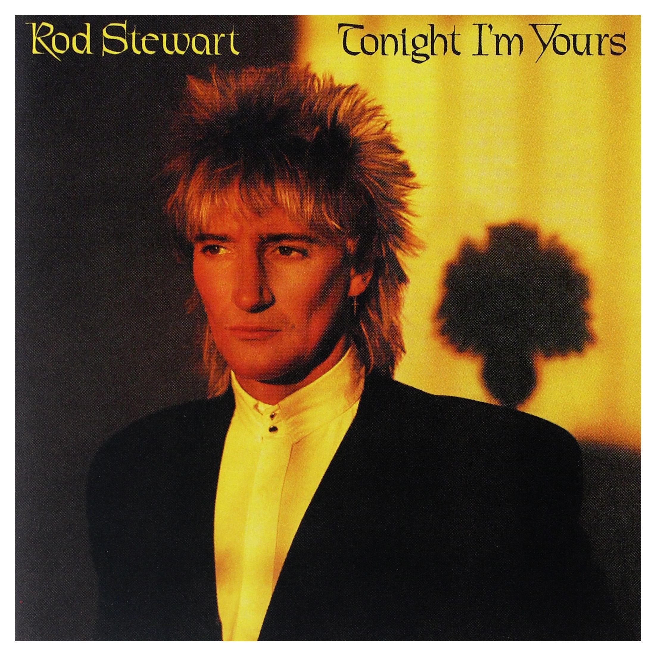 Product Image: Tonight I'M Yours