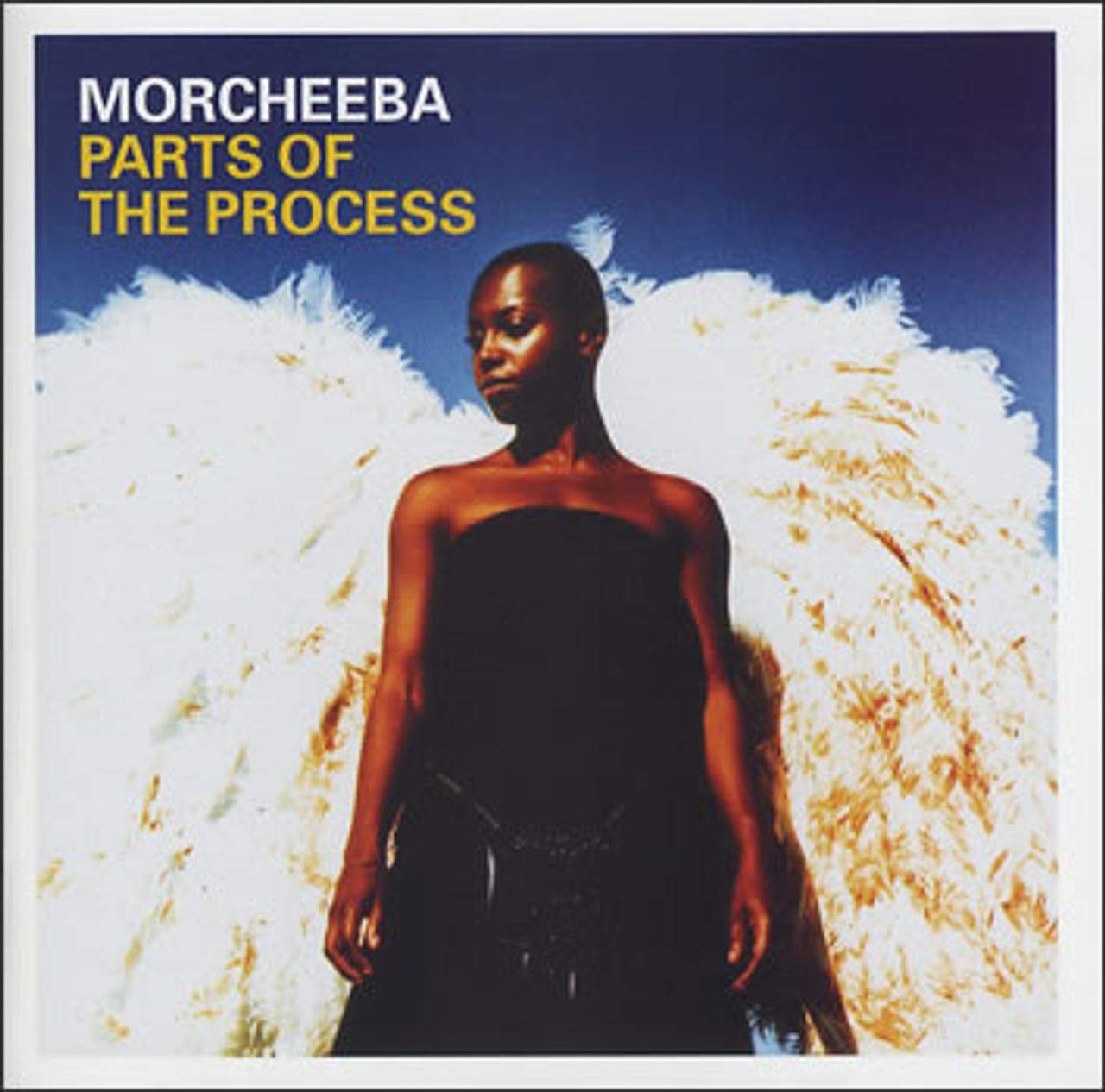 Parts of the Process - Best Of - CD & DVD Dance & Electronic