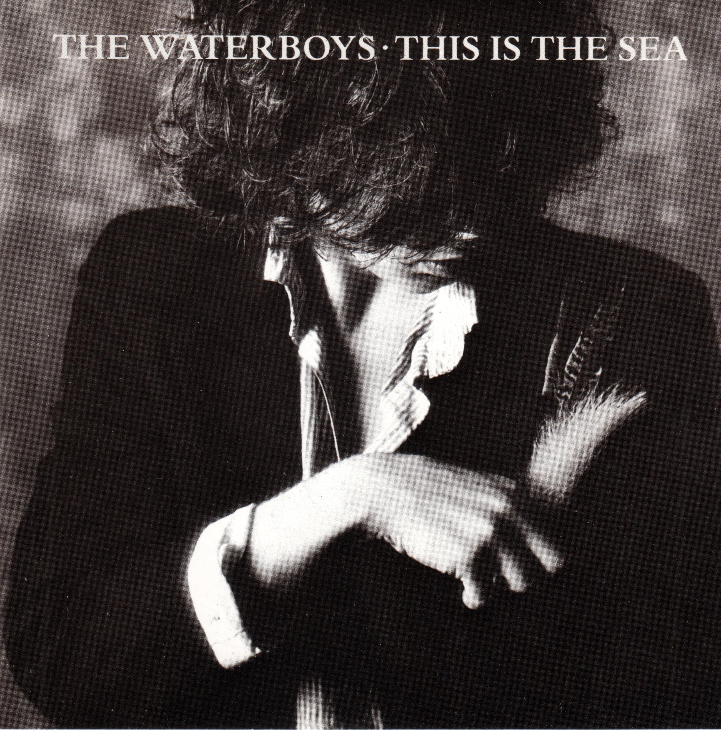 Product Image: This Is the Sea