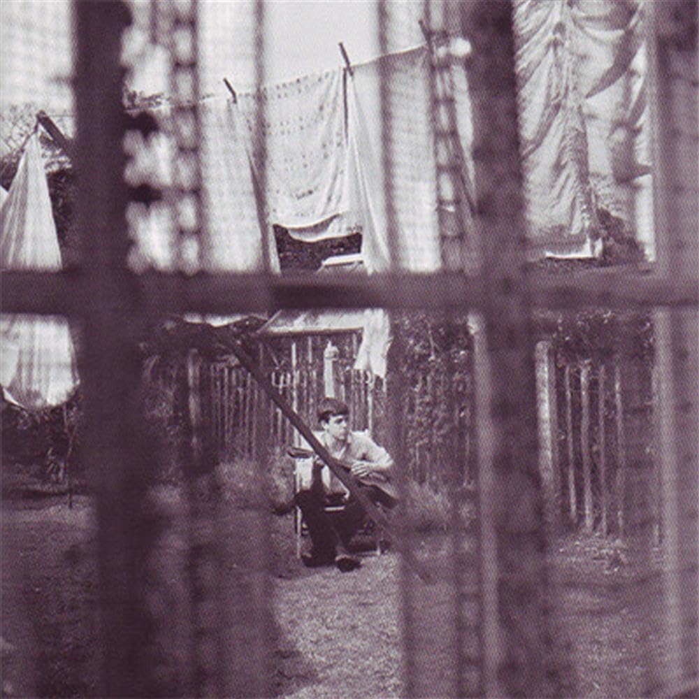 Product Image: Chaos and Creation in the Backyard