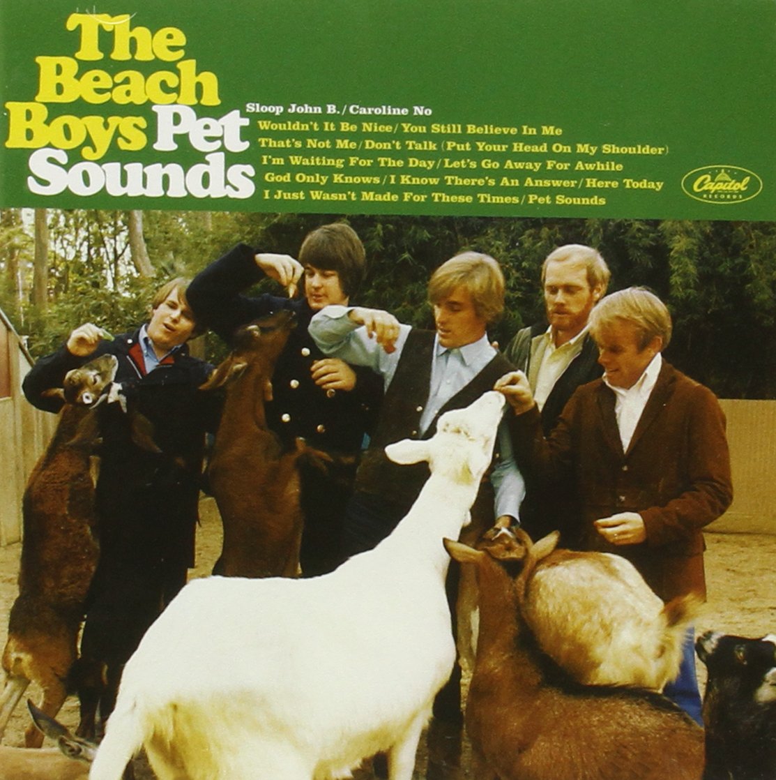 Pet Sounds-40th Anniv.Standard Edition Pop