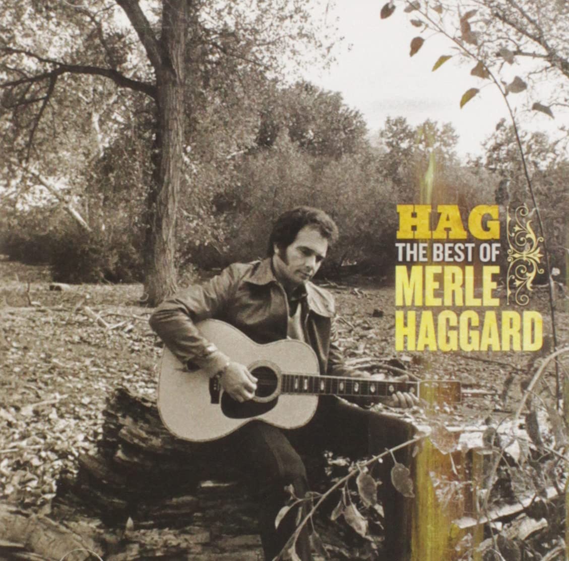 Hag:the Best of Merle Haggard Pop
