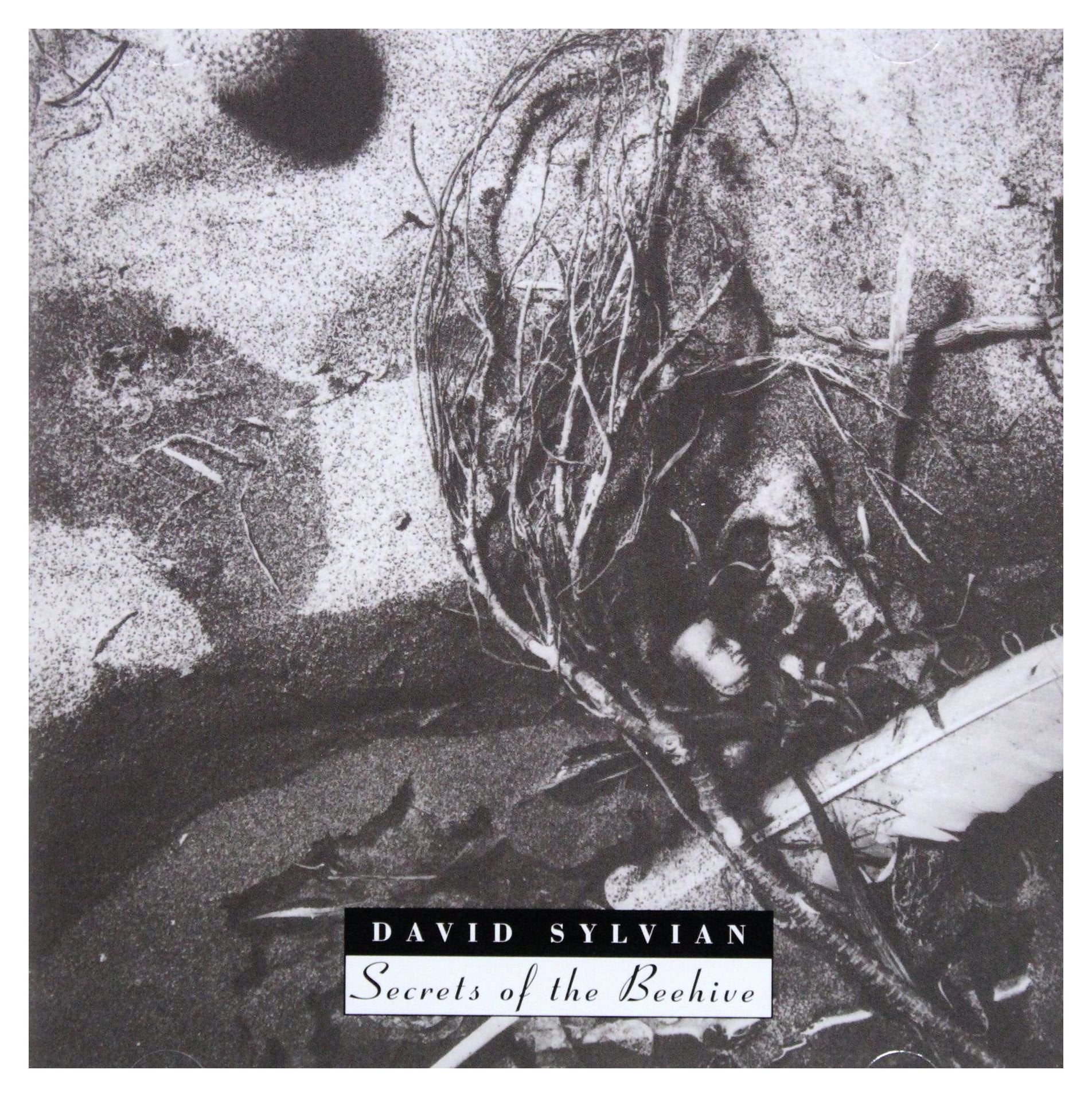 Product Image: Secrets Of The Beehive (Remastered)