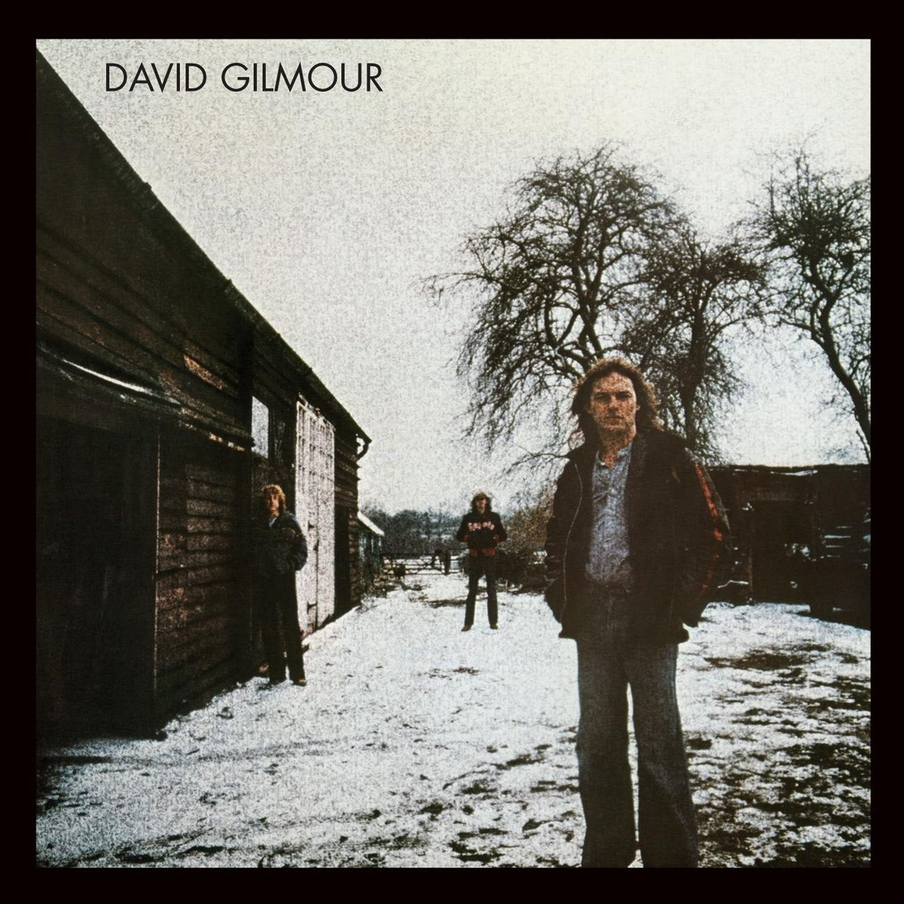 David Gilmour Pop