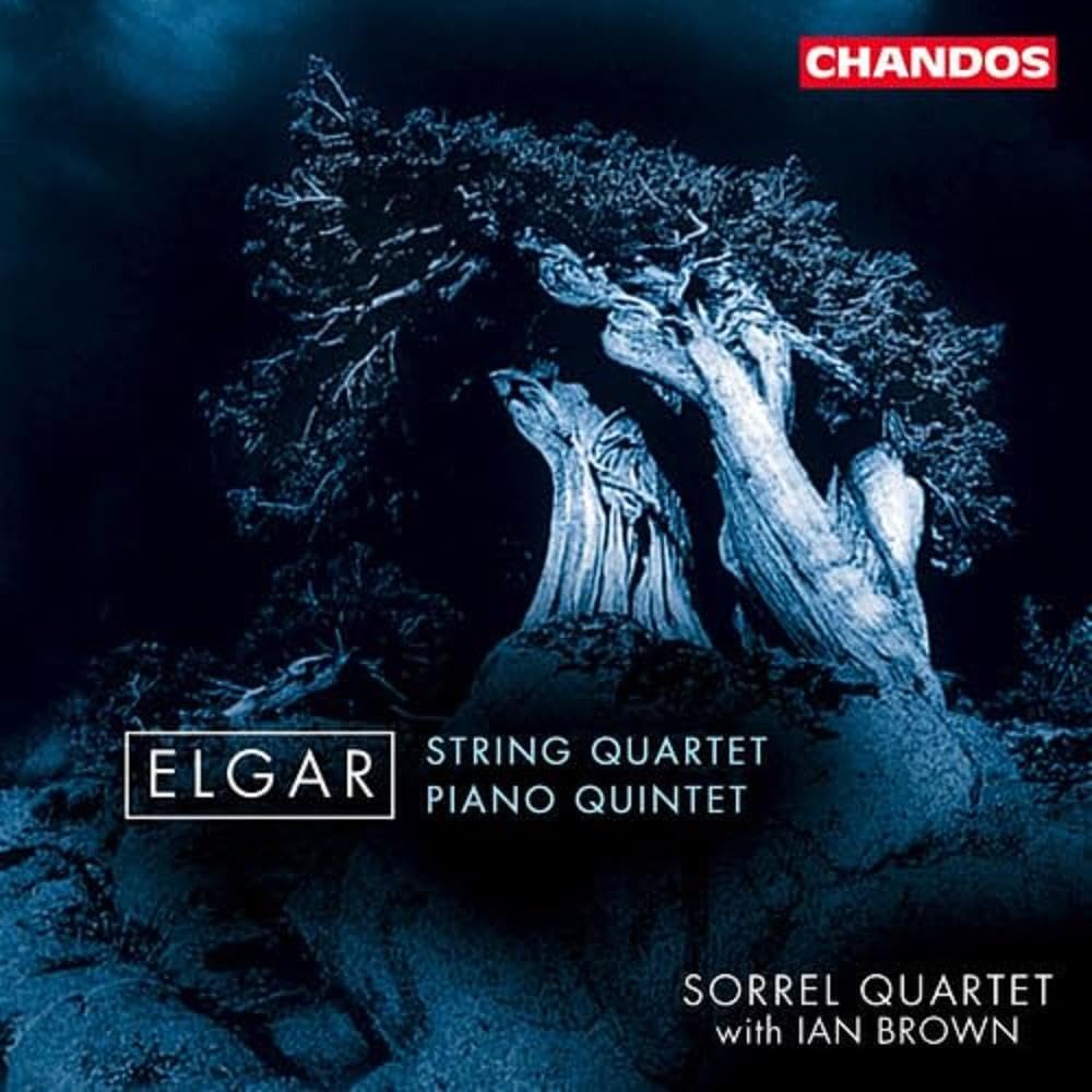 Streichquartett / Klavierquintett Classical