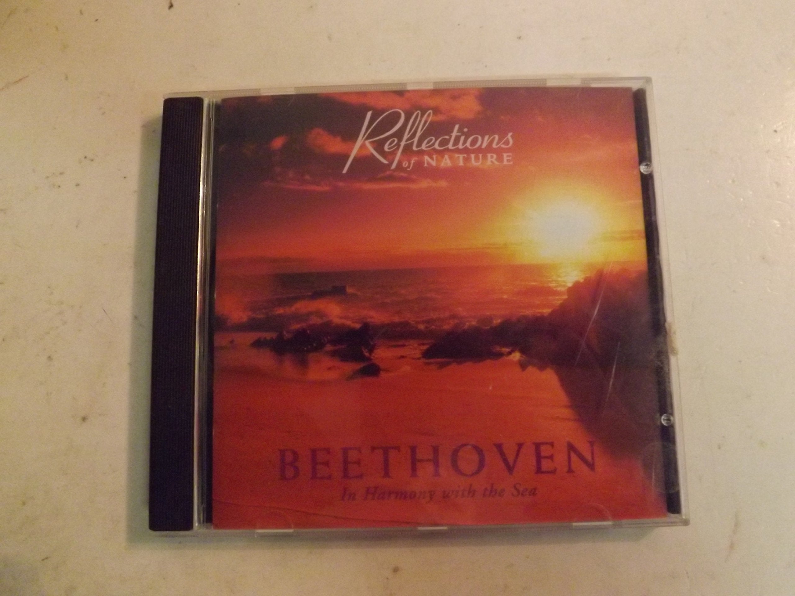 REFLECTIONS OF NATURE: BEETHOVEN IN HARMONY WITH THE SEA Music
