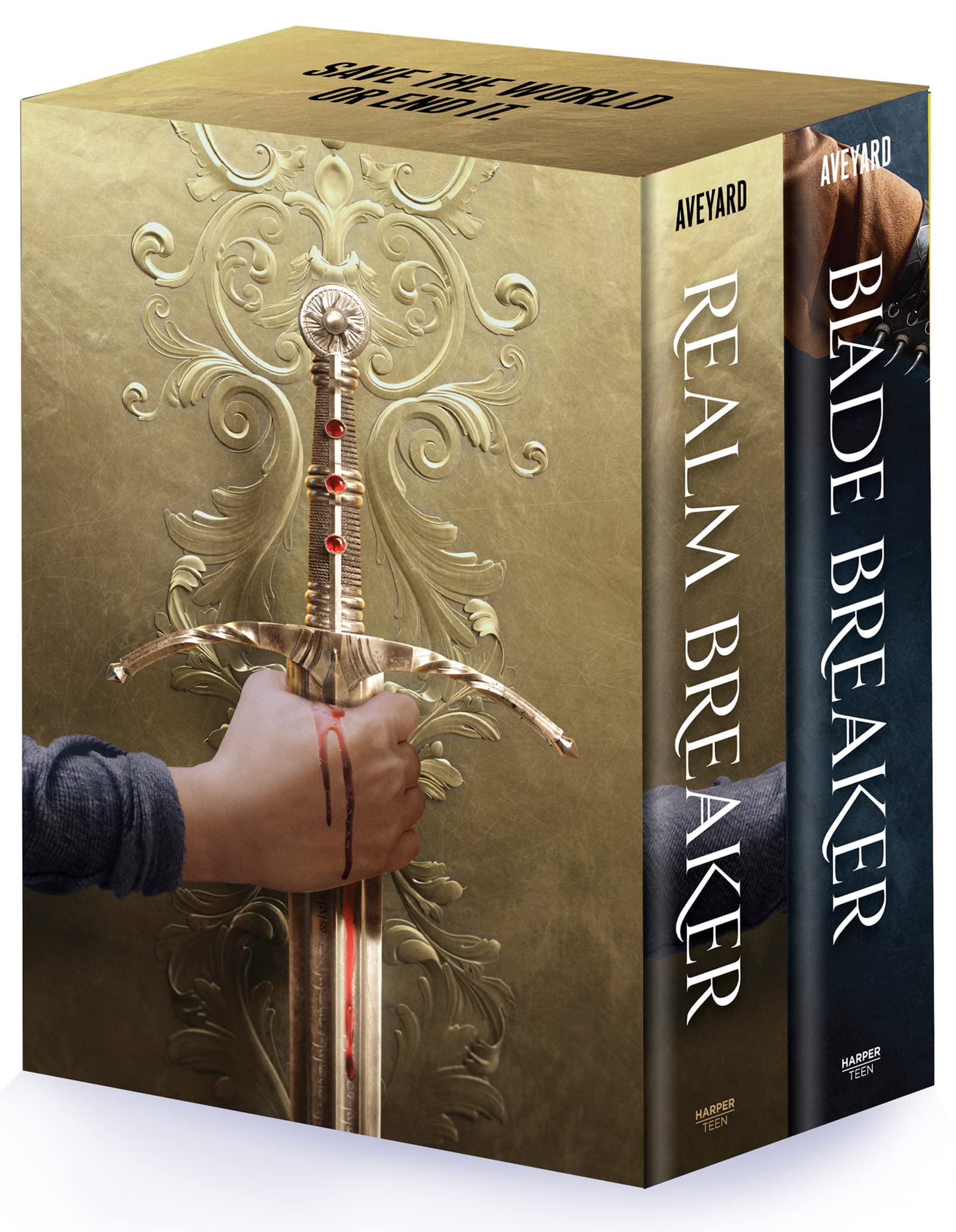 Realm Breaker 2-Book Hardcover Box Set: Realm Breaker, Blade Breaker Fiction