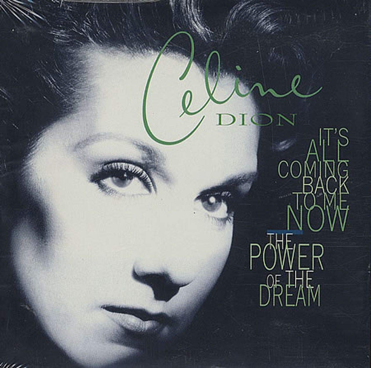 It's All Coming Back to Me Now/Power of Dream cd